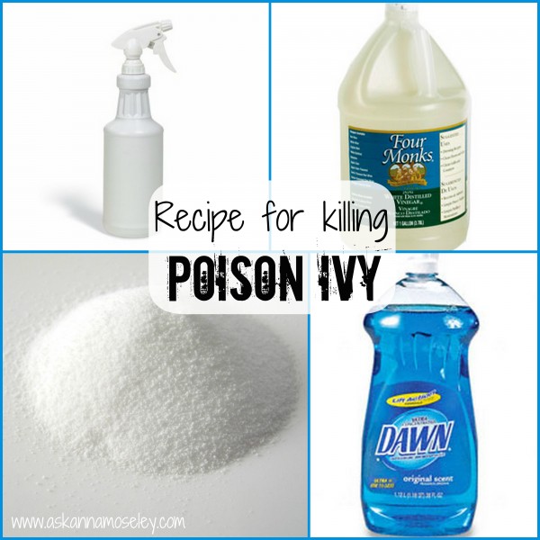 How To Get Rid Of Poison Ivy