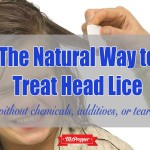 How to get rid of head lice